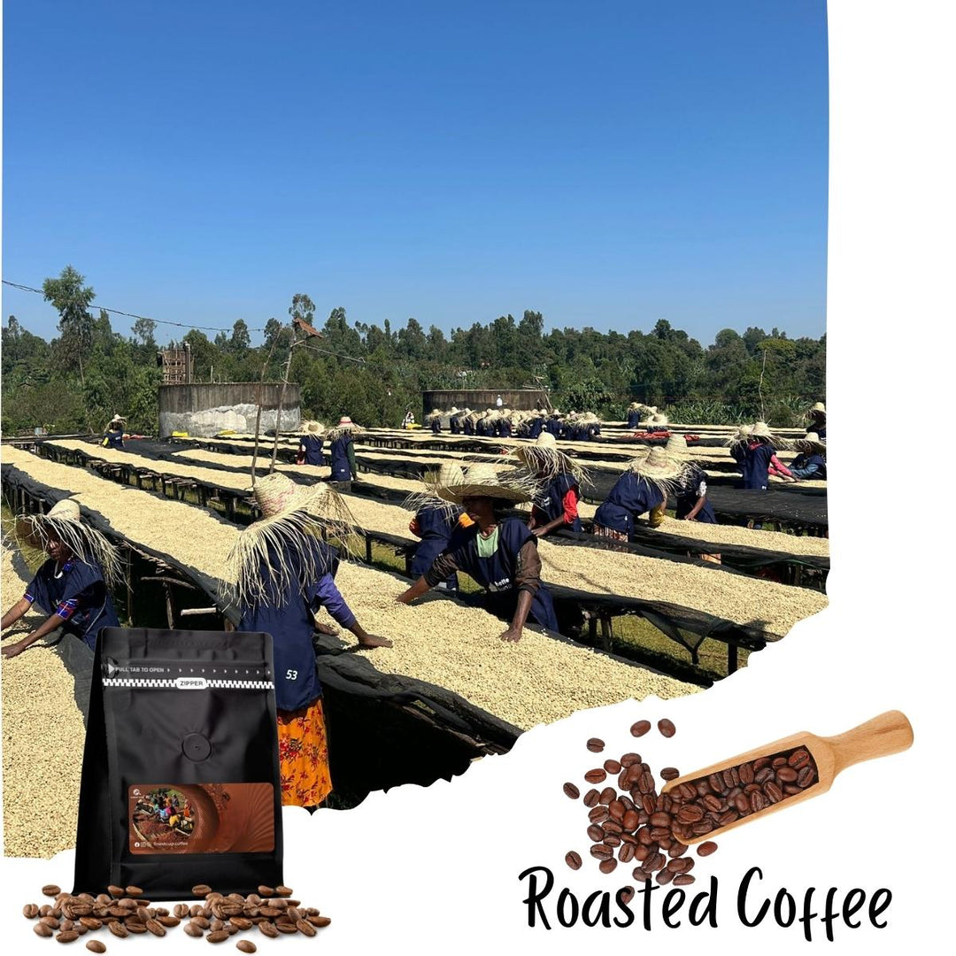 Ethiopian Yirgacheffe Konga - (Washed Medium Roast)