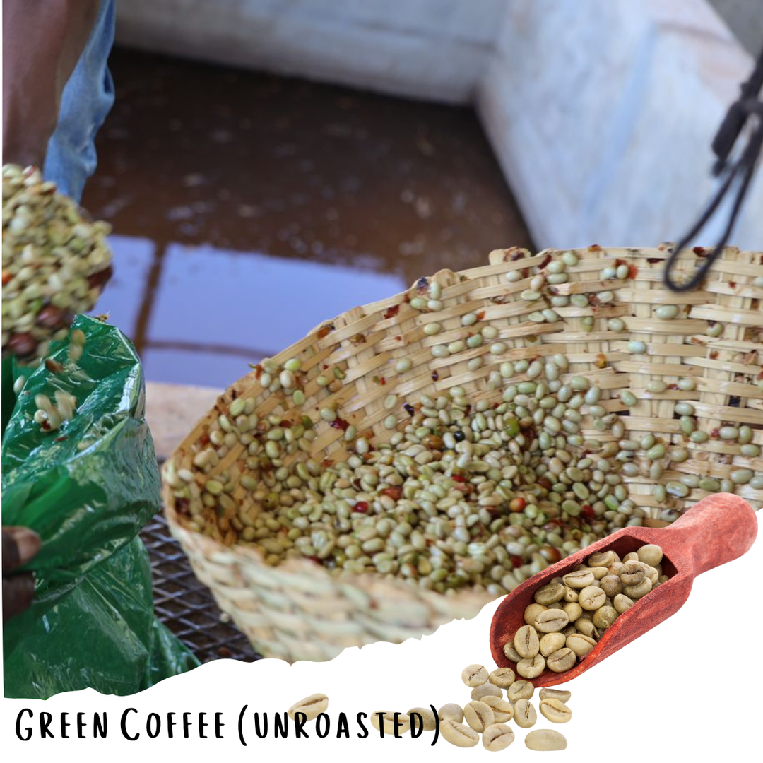 Ethiopian Yirgacheffe - Washed Specialty Coffee - (Unroasted 5lbs, 10lbs & 20lbs)