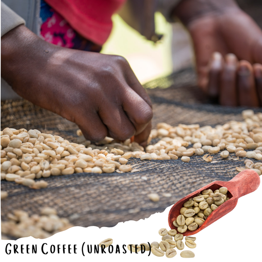 Teshale Heurioso - Farmer Direct Lot - Sidama Bona QeQe - Natural G1 Ethiopian Specialty Coffee (Unroasted)