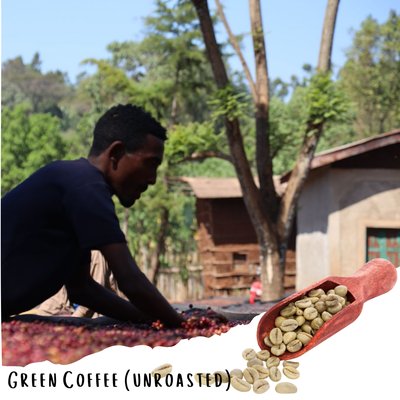 Tsegab Ayele Tulu - Farmer Direct Lot - Sidama Bona Zuria - Anaerobic G1 Ethiopian Specialty Coffee (Unroasted)