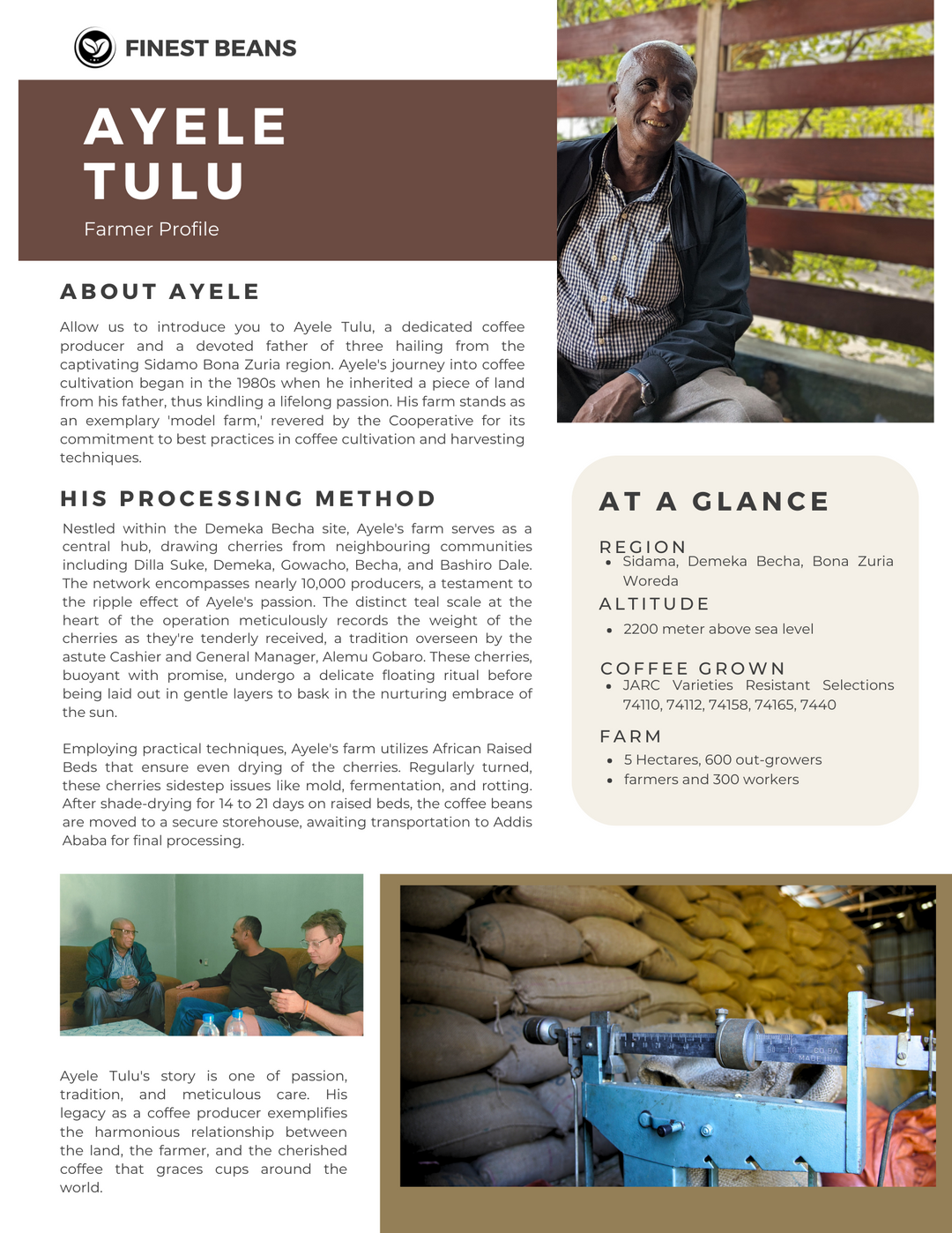 Ayele Tulu - Farmer Direct Lot - Sidama Demeka Becha - Natural G1 Ethiopian Specialty Coffee (Unroasted)