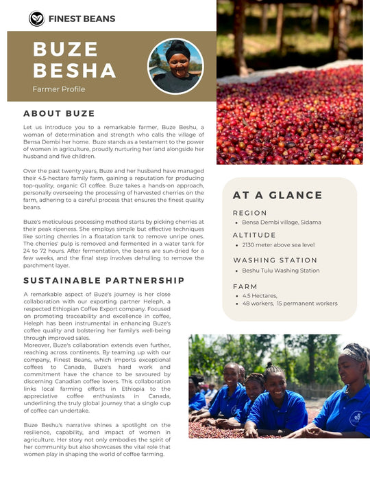 Buze Besha - Farmer Direct Lot - Sidama Bensa Dembi - Washed G1 Ethiopian Specialty Coffee (Unroasted)