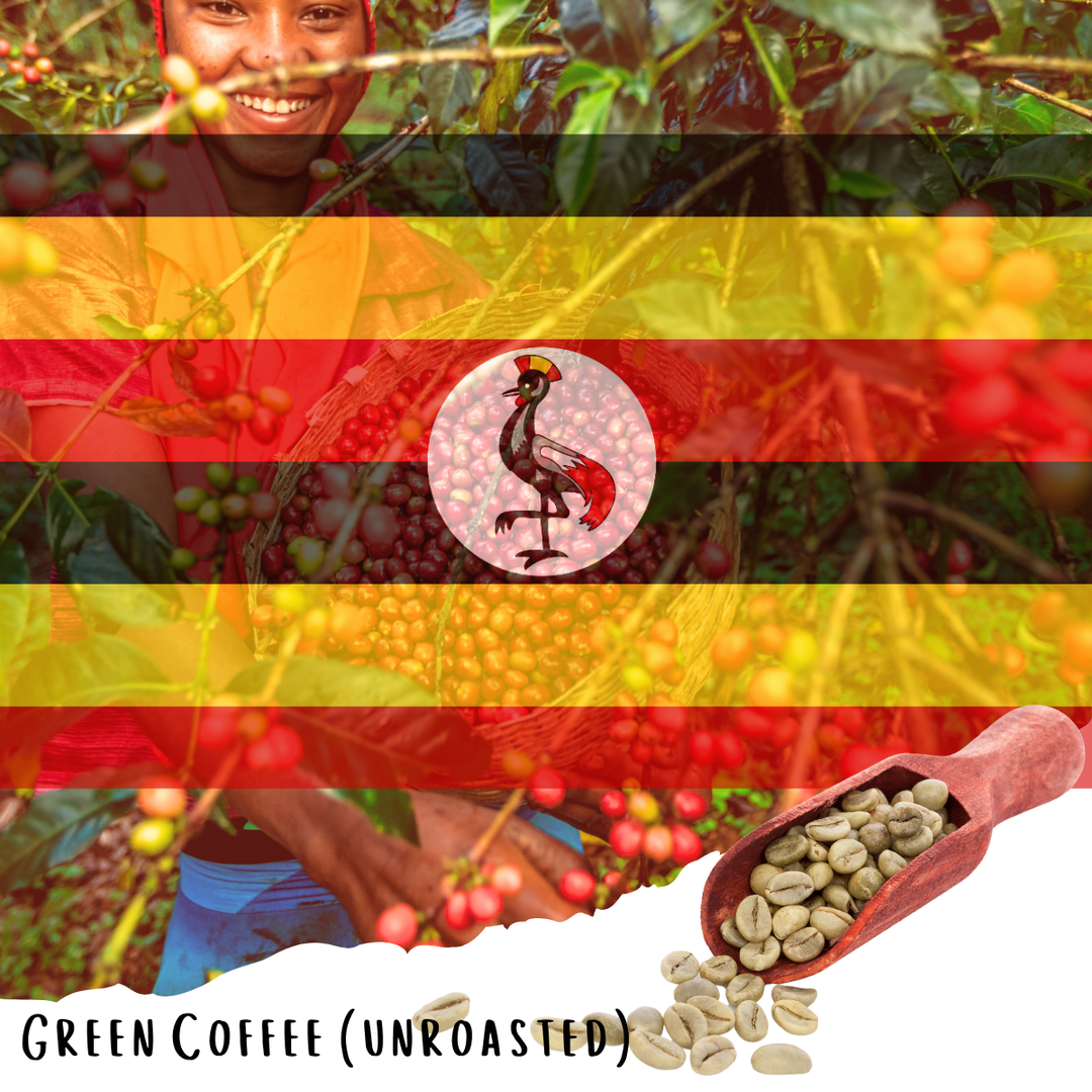 Vicent Mpungu Single Origin - Natural Ugandan Specialty Coffee - (Unroasted)